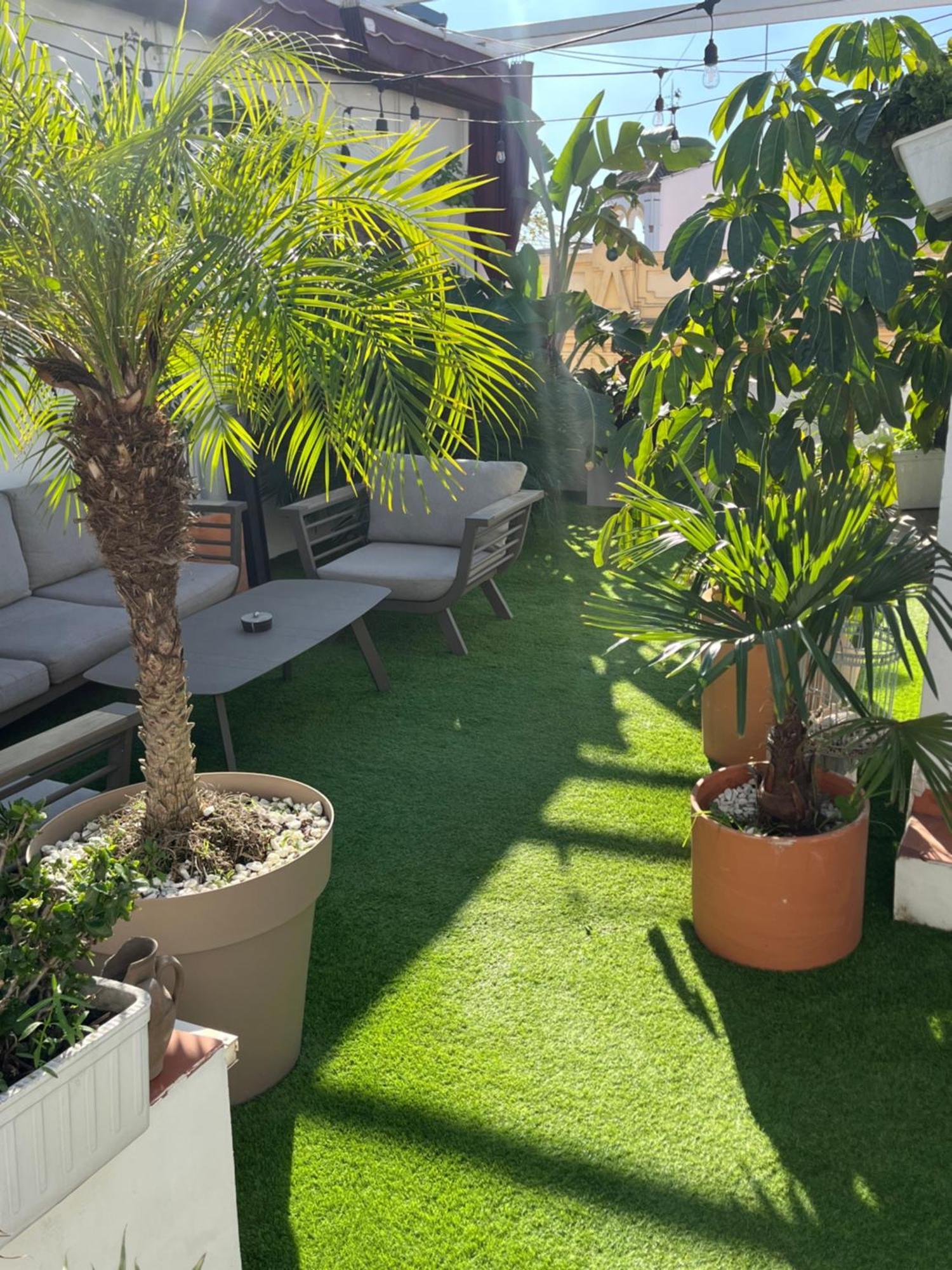 Atico Suite Con Terraza Totalmente Privada En Pleno Centro Historico De Sevilla Dış mekan fotoğraf